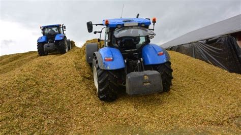 Recommandations Arvalis Ensilage De Ma S Fourrage