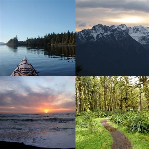 Olympic National Park & Hurricane Ridge Updates - Visit Port Angeles WA