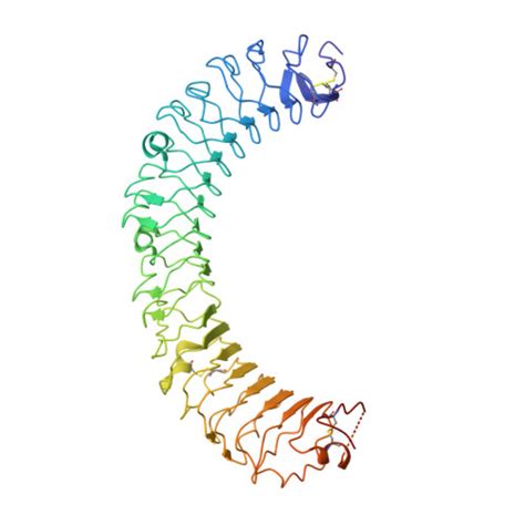 Gene O Protein Lgr Overview Cansar Ai