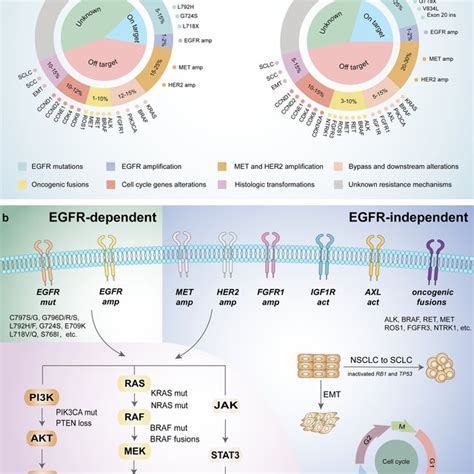 Ongoing Trials For Egfr Mutated Nsclc Patients With Osimertinib