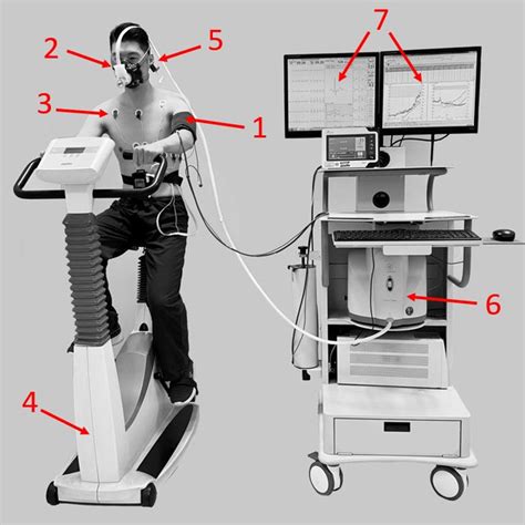 Five Basic Components Of A Standard CPET Test CPET Cardiopulmonary