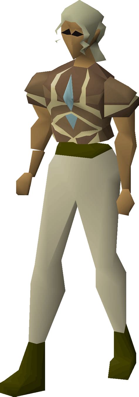 File Graceful Top Trailblazer Equipped Female Png Osrs Wiki