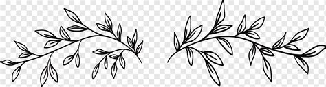 Black And White Flower Vine Drawing Best Flower Site