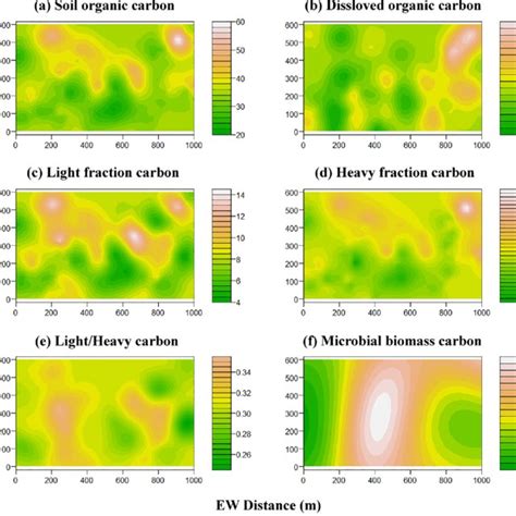 Spatial Distribution Of The Chemical Fractions Of Soil Organic Carbon