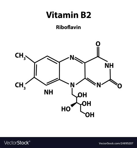 Vitamin B2 Riboflavin Molecular Chemical Formula Vector Image