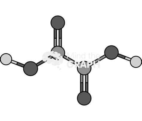 Oxalic Acid Molecule