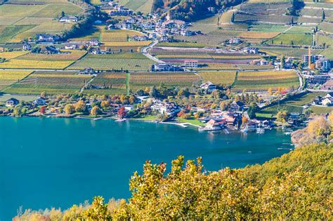 Herbst Kalterer See Kalterersee St Josef St Josef Am See Autumn