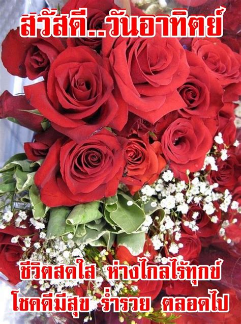 ปกพนโดย Ninaja naja ใน good morning สวสดตอนเชา สขสนตวน