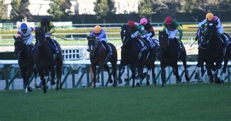 【2024 朝日杯フューチュリティs（g1）】日刊馬番コンピ指数分析予想篇｜haya