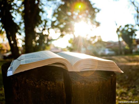 A Riqueza Da Leitura Meditada E Orante Da Palavra De Deus Encontro