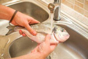 Bisogna Lavare Il Pesce Prima Di Cucinarlo Non Lo Immagineresti