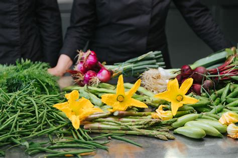 Verduras Que Podemos Plantar En Casa Scoolinary