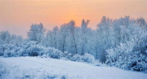 2200 Beautiful Winter Pictures Wallpapers Com