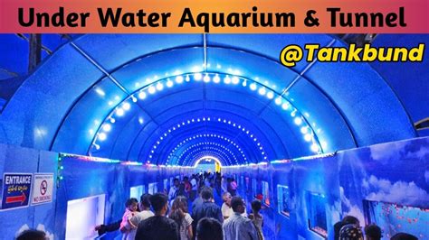 UnderWater Tunnel And Aquarium Near Tankbund Under Water Fish