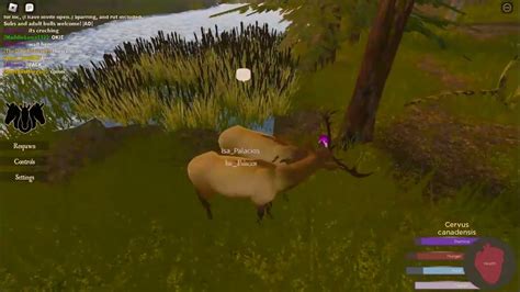 Playing As An Dad Elk But The Calf Lost😞 Roblox Cenozoic Survival Youtube