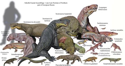 Sokolki Faunal Assemblage | Prehistoric wildlife, Extinct animals, Prehistoric animals