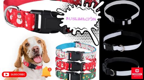 Collares De Mascota Sublimables YouTube