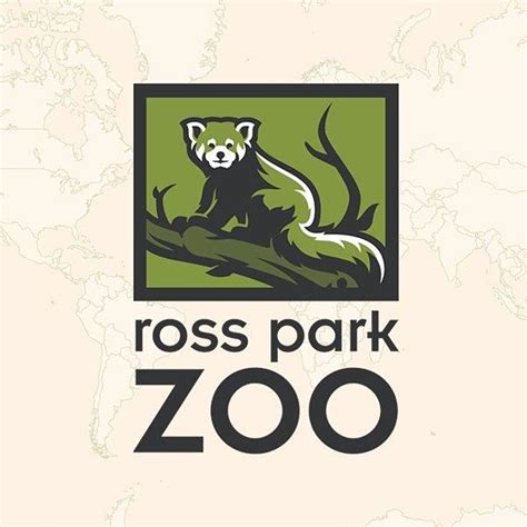 Watch! 1960s Memories Of The Binghamton Ross Park Zoo