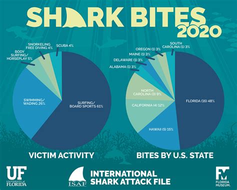 Shark attack numbers remained ‘extremely low’ in 2020, but fatalities ...