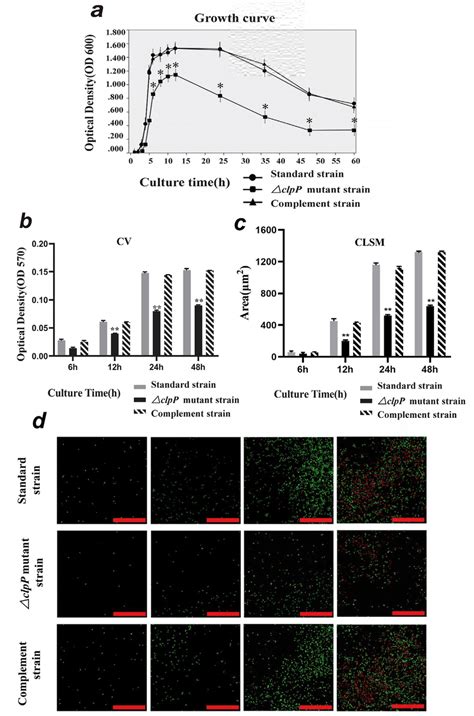 Clpp Protease Deletion Inhibited Growth And Biofilm Mass Of E Download Scientific Diagram