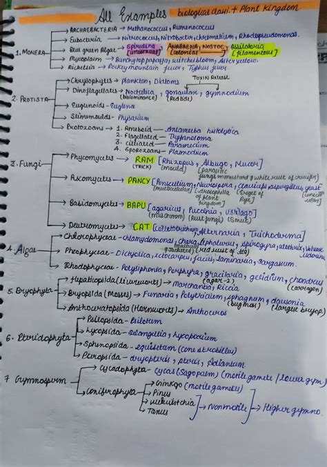 Biological Classification Artofit