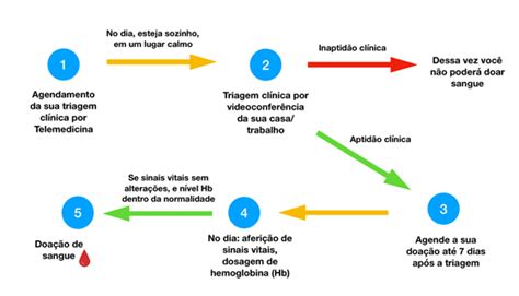 Total Imagem Modelo De Triagem Br Thptnganamst Edu Vn