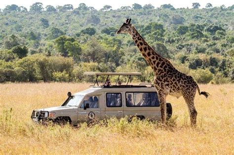 Africa Safari Tours - Gems Of Africa Safari & Tours