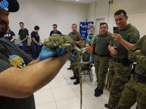 Policiais Ambientais De Lagoa Vermelha Participam De Treinamento