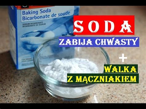 SODA ZWALCZA CHWASTY I MĄCZNIAKA PRAWDZIWEGO POMIDORY OGÓRKI YouTube