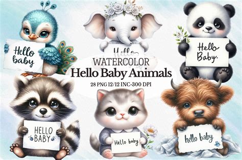 Hello Baby Animals Clipart Graphic by RevolutionCraft · Creative Fabrica