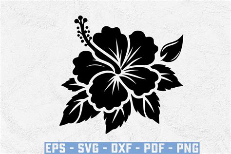 Hibiscus Flower Silhouette Svg Files Graphic By Ayan Graphicriver