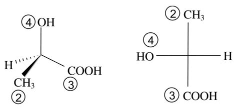 Lactose Fischer Projection