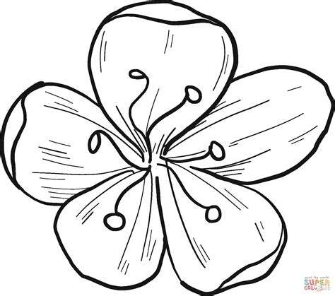 Dibujo De Flor De Cerezo Para Colorear Dibujos Para Colorear Imprimir