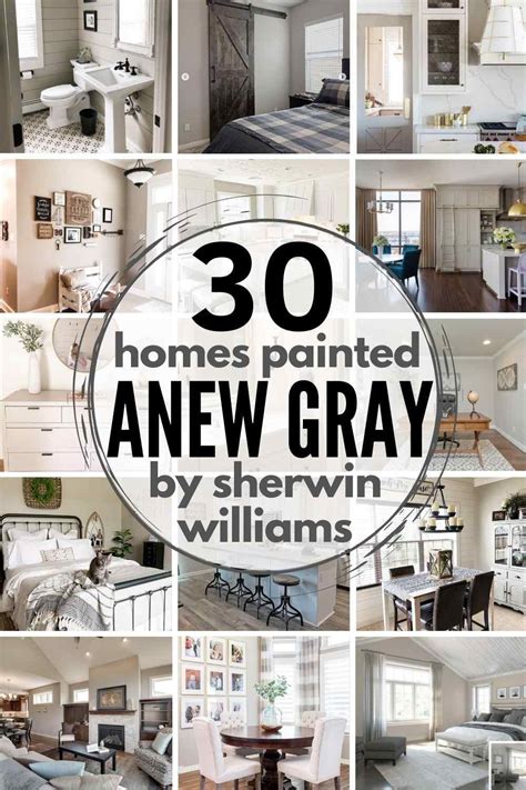 Is Sherwin Williams Anew Gray Your Perfect Greige Paint Color See It