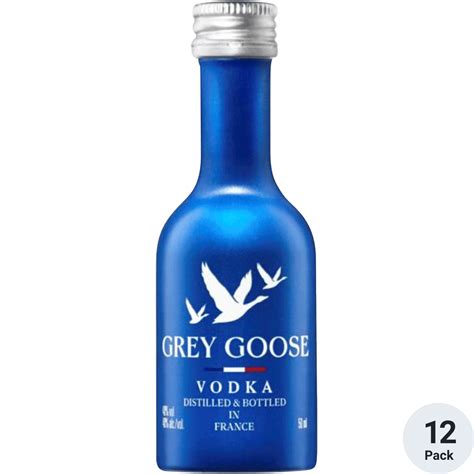 Grey Goose Vodka Aluminum Total Wine And More