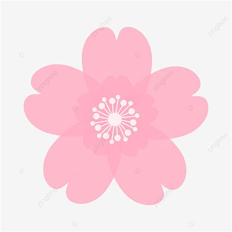 Cherry Blossom Card Vector Art Png Pink Cherry Blossoms Cute Clip Art