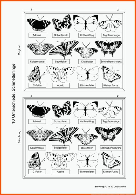 Symmetrie Schmetterling Arbeitsblatt Mathe Arbeitsbl Tter