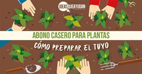 Abono Casero Para Plantas C Mo Preparar El Tuyo Ideas Que Ayudan