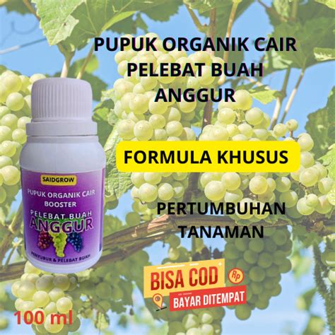 Pupuk Anggur Komplit Pupuk Pelebat Buah Anggur Pupuk Anggur Cepat