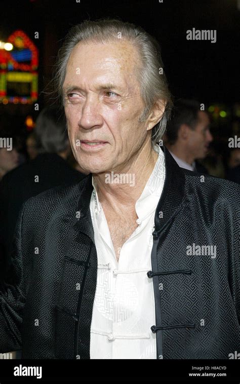 David Carradine Kill Bill Vol High Resolution Stock Photography and ...