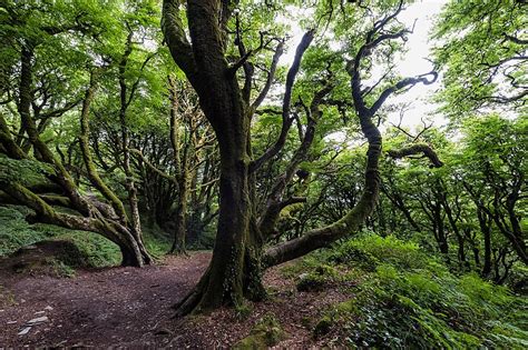 West Cork Walks - Ireland Highlights