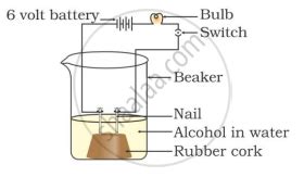 In Which Of The Following Setups Would The Bulb Glow Shaalaa