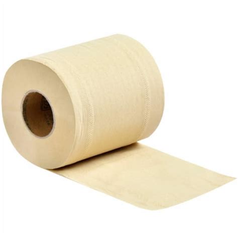 WBM Care Toilet Paper, Hypoallergenic Bamboo paper-3 Ply Tissue | 10 ...