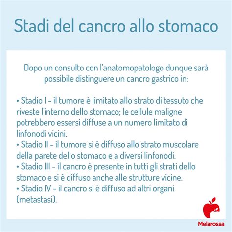 Tumore Allo Stomaco Che Cos Cause Sintomi Diagnosi Cure