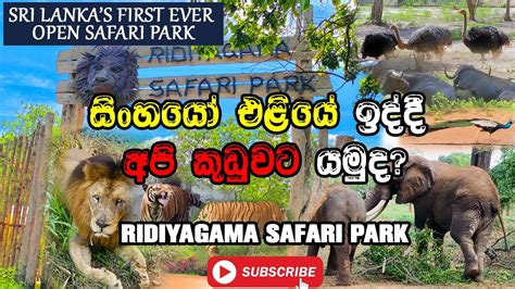 Ridiyagama Safari Park රිදියගම Sri Lanka 🇱🇰 Youtube