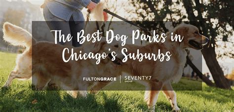 The Best Dog Parks In Chicagos Suburbs Fun Off Leash Places To Take