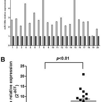Expression Of Mature MiR 130b In ESCC Tissue Specimens The Expression