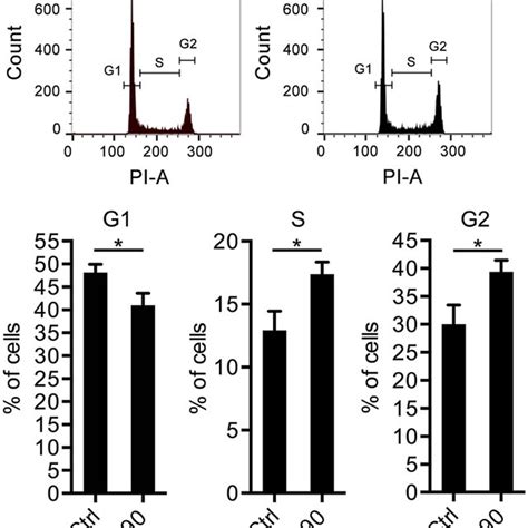 Rjhp0290 Modulates Cell Cycle Progression In Gastric Epithelial Download Scientific Diagram