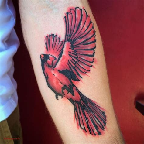 Pin By Taylor Young On Tattoo Ideas Red Bird Tattoos Feather Tattoos