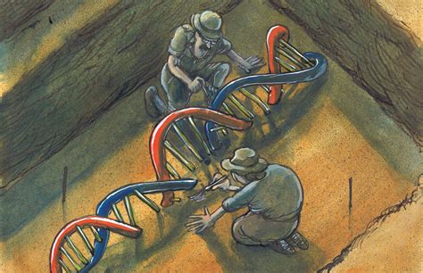 What Ancient DNA Says About Us New Humanist